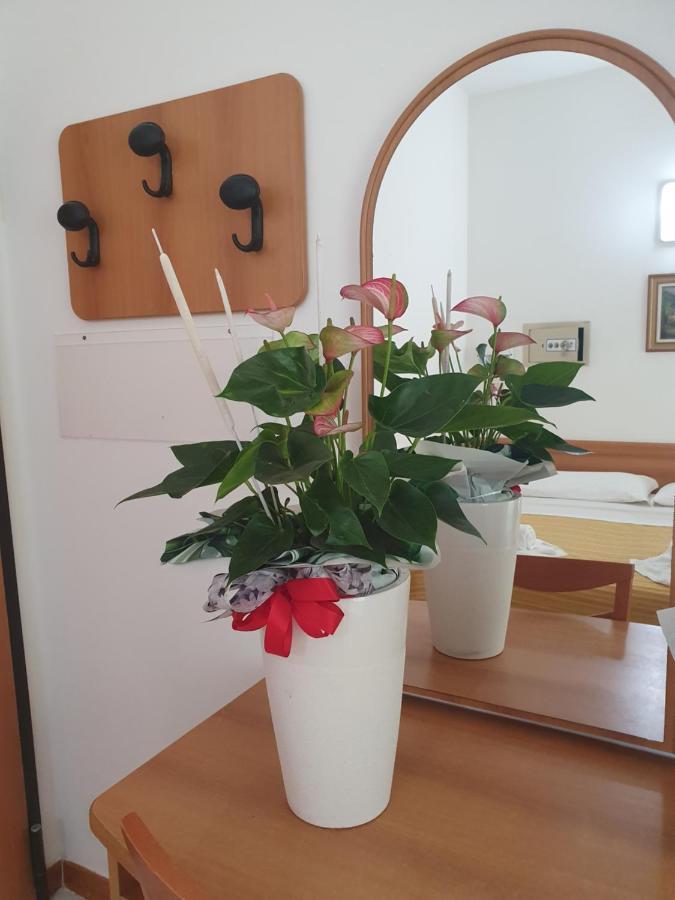 Hotel Venezia San Mauro Mare Luaran gambar